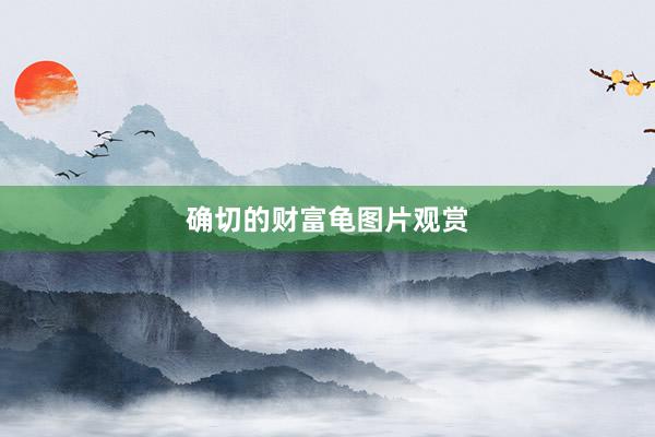 确切的财富龟图片观赏